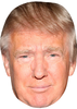 Trump Face White Bg Large Image